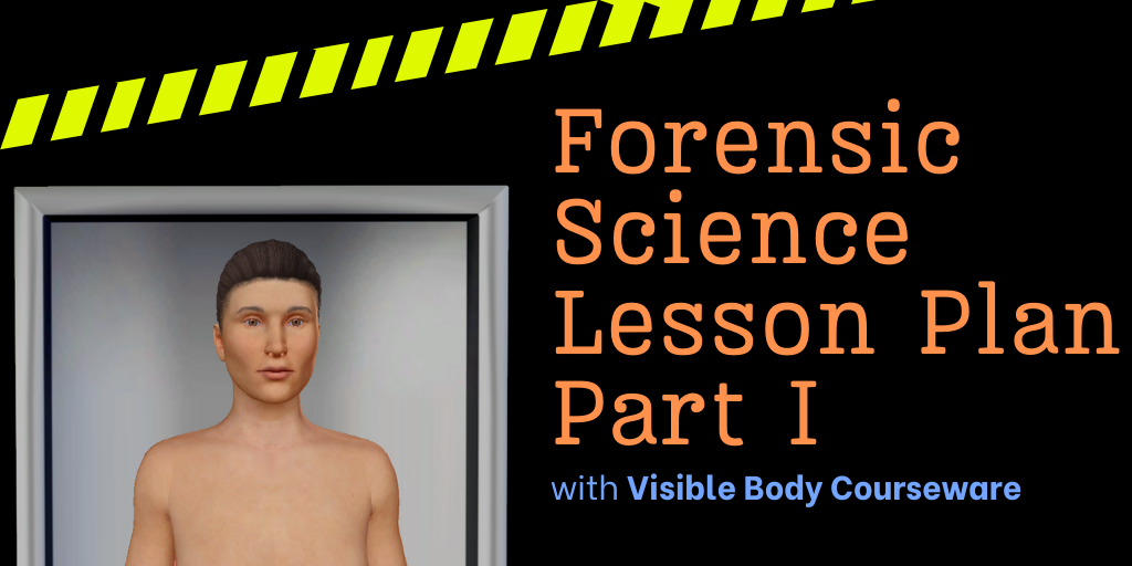 The visible body blog lesson plans